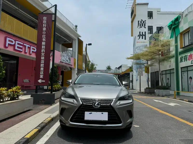 Lexus NX 2020 200 FWD Avant Edition (China VI Emission Standard) — миниатюра 2