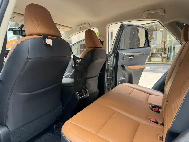 Lexus NX 2020 200 FWD Avant Edition (China VI Emission Standard) — миниатюра 13