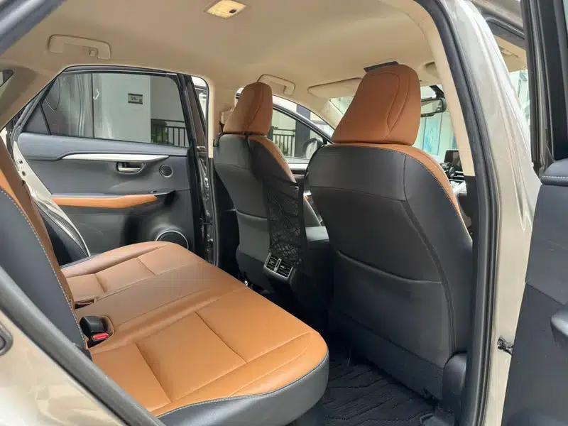 Lexus NX 2020 200 FWD Avant Edition (China VI Emission Standard) — миниатюра 14