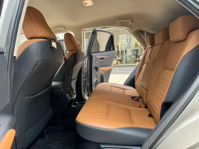 Lexus NX 2020 200 FWD Avant Edition (China VI Emission Standard) — миниатюра 17