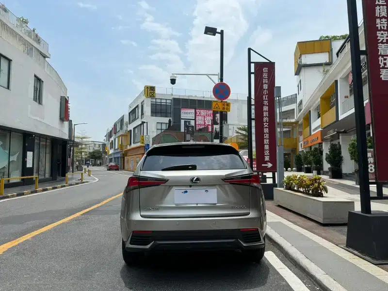 Lexus NX 2020 200 FWD Avant Edition (China VI Emission Standard) — миниатюра 6