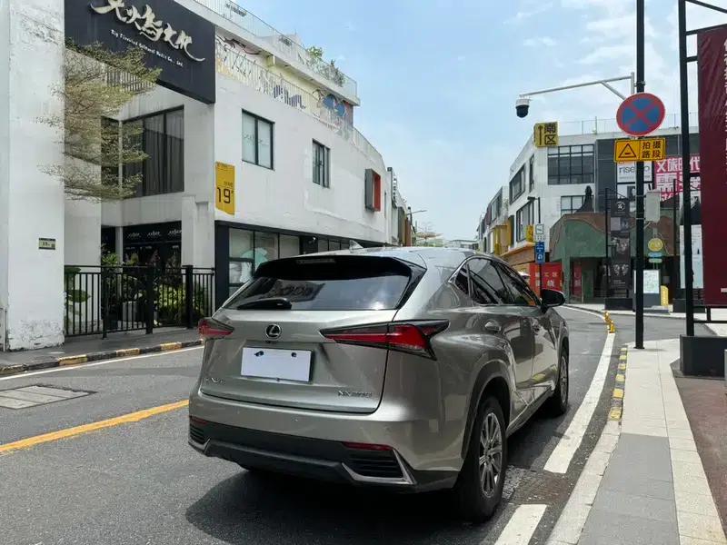 Lexus NX 2020 200 FWD Avant Edition (China VI Emission Standard) — миниатюра 7