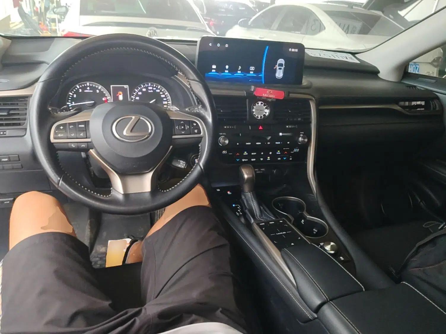 Lexus RX 2020 Revised Version 300 Two-Wheel Drive Elite Edition — миниатюра 12
