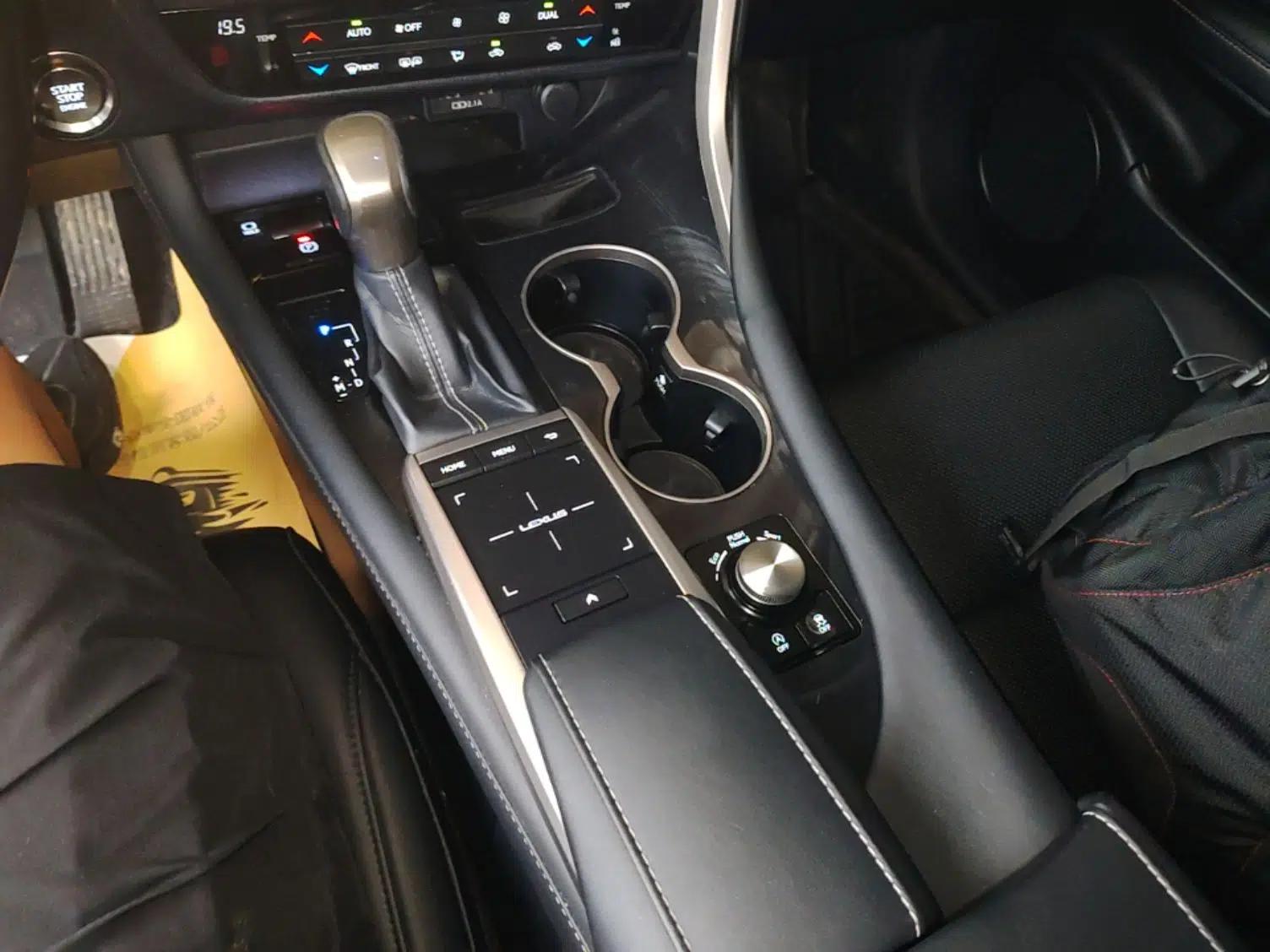 Lexus RX 2020 Revised Version 300 Two-Wheel Drive Elite Edition — миниатюра 16