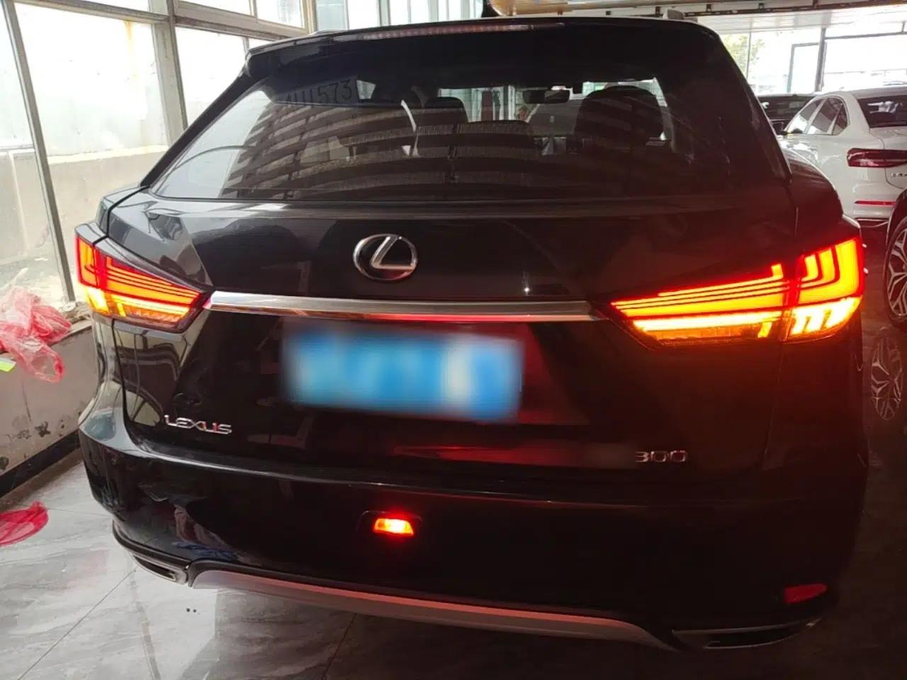 Lexus RX 2020 Revised Version 300 Two-Wheel Drive Elite Edition — миниатюра 5