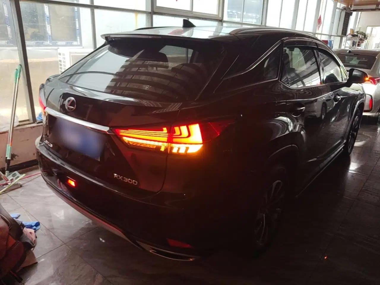 Lexus RX 2020 Revised Version 300 Two-Wheel Drive Elite Edition — миниатюра 6