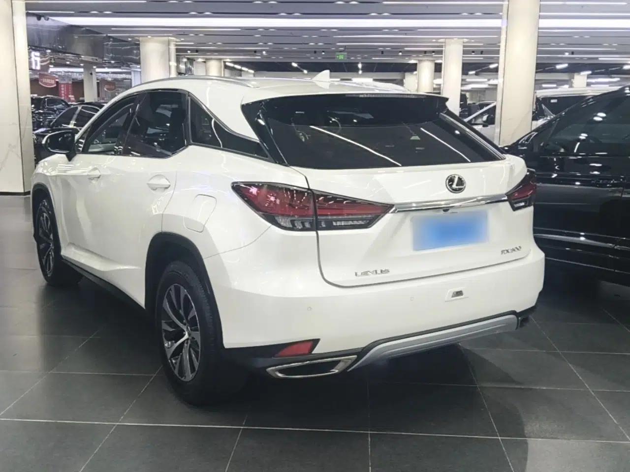 Lexus RX 2020 Revised Version 300 Two-Wheel Drive Elite Edition — миниатюра 4