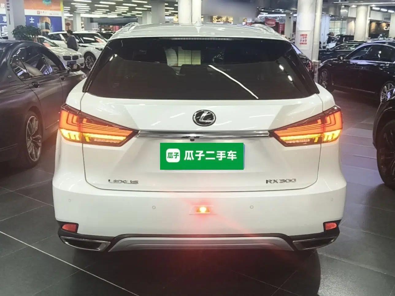 Lexus RX 2020 Revised Version 300 Two-Wheel Drive Elite Edition — миниатюра 5
