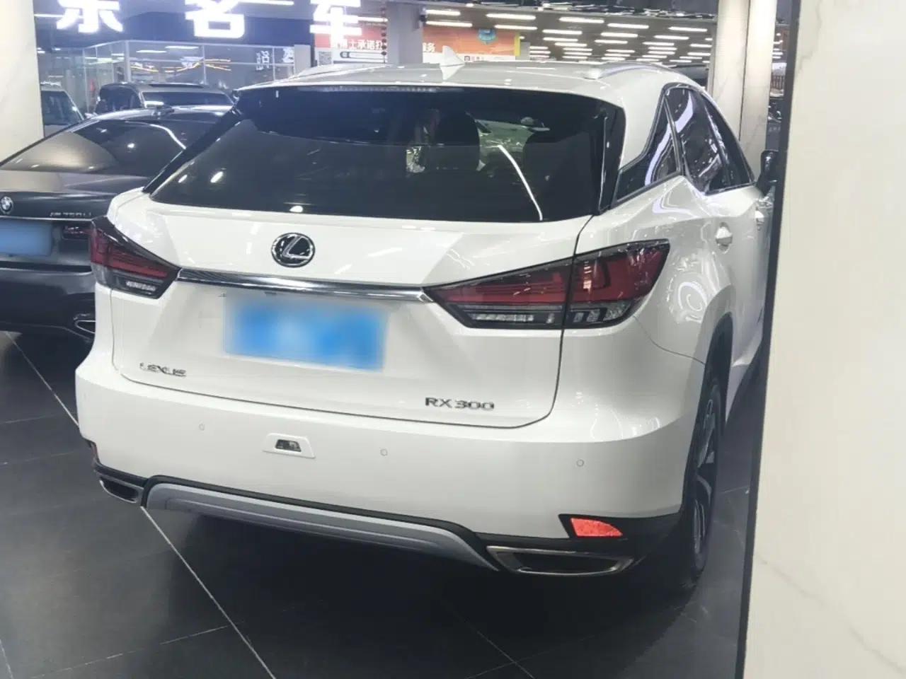Lexus RX 2020 Revised Version 300 Two-Wheel Drive Elite Edition — миниатюра 6