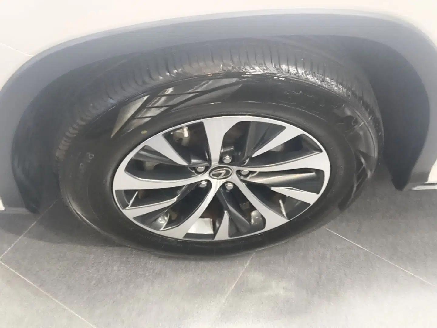 Lexus RX 2020 Revised Version 300 Two-Wheel Drive Elite Edition — миниатюра 10