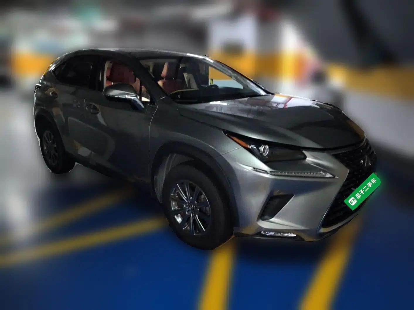 Lexus NX 2020 200 Front-Wheel Drive Freeline Edition China VI Standard — миниатюра 3