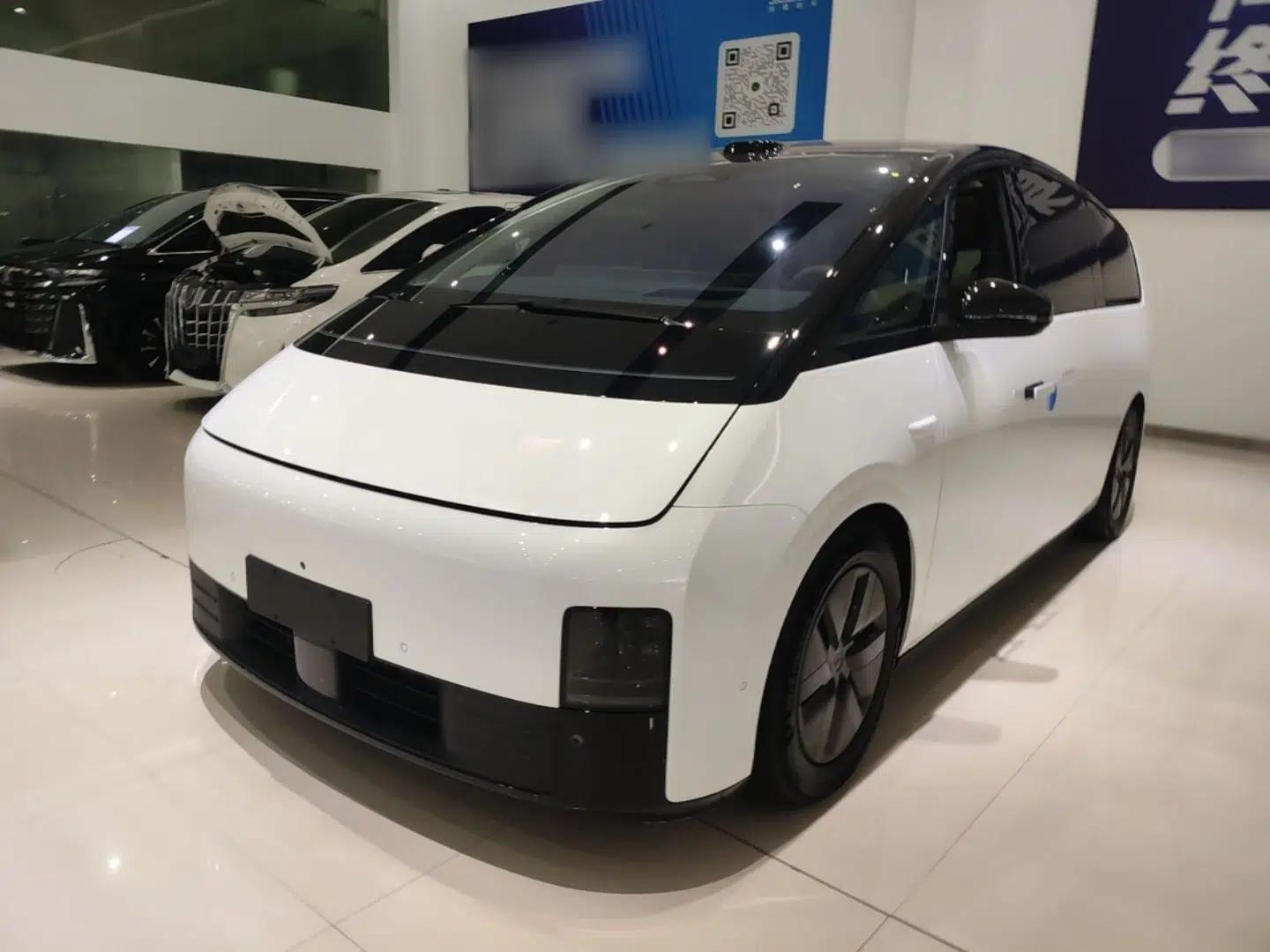Li Auto MEGA 2025 Home Family Special Edition — миниатюра 1