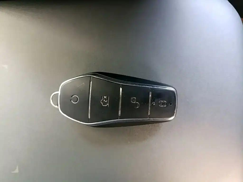 Qin L 2024 DM-i 120KM Super Edition — миниатюра 9