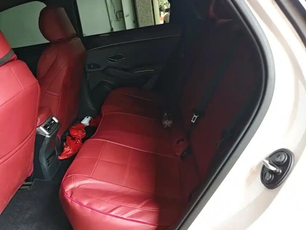 Qin L 2024 DM-i 80KM Leading Edition — миниатюра 17