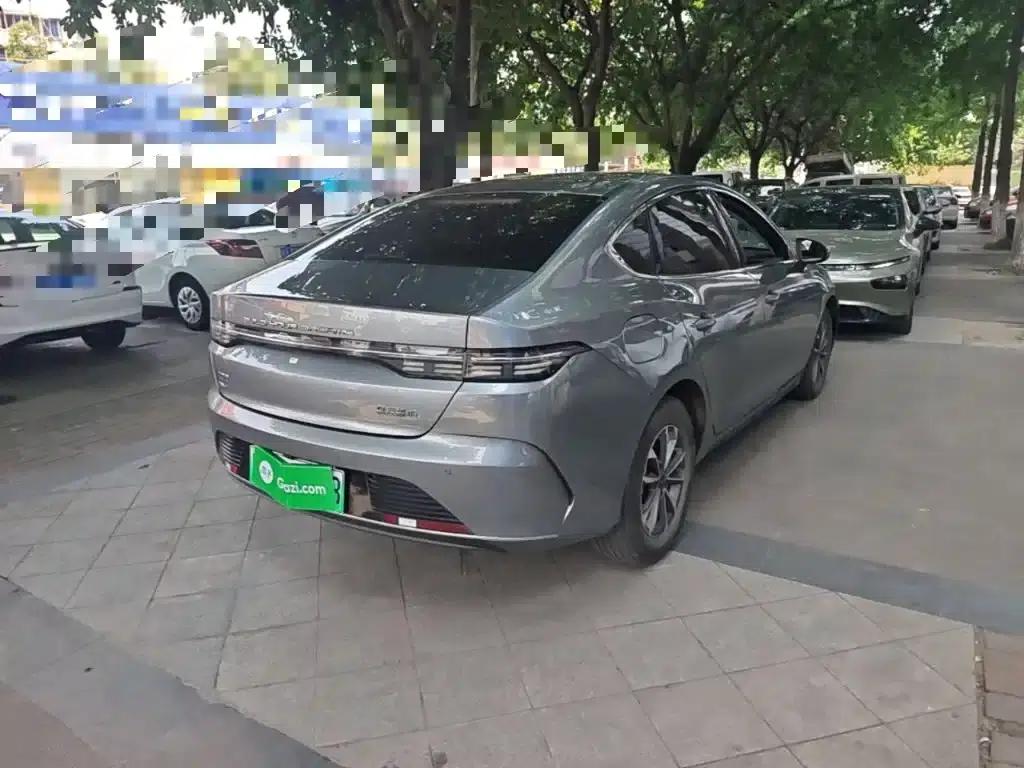 Destroyer 05 2024 Glory Edition DM-i 55KM Luxury Model — миниатюра 7