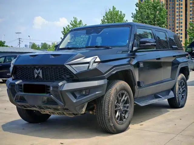Mengshi 917 2023 Range Extended Edition