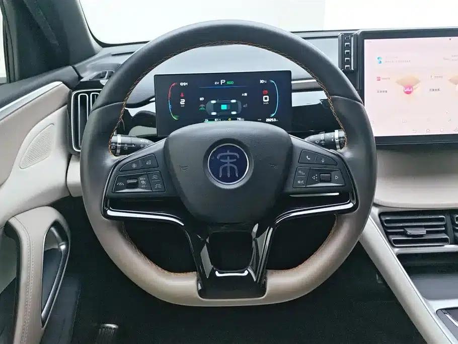 Song Pro New Energy 2023 Champion Edition DM-i 71KM Superior Model — миниатюра 15