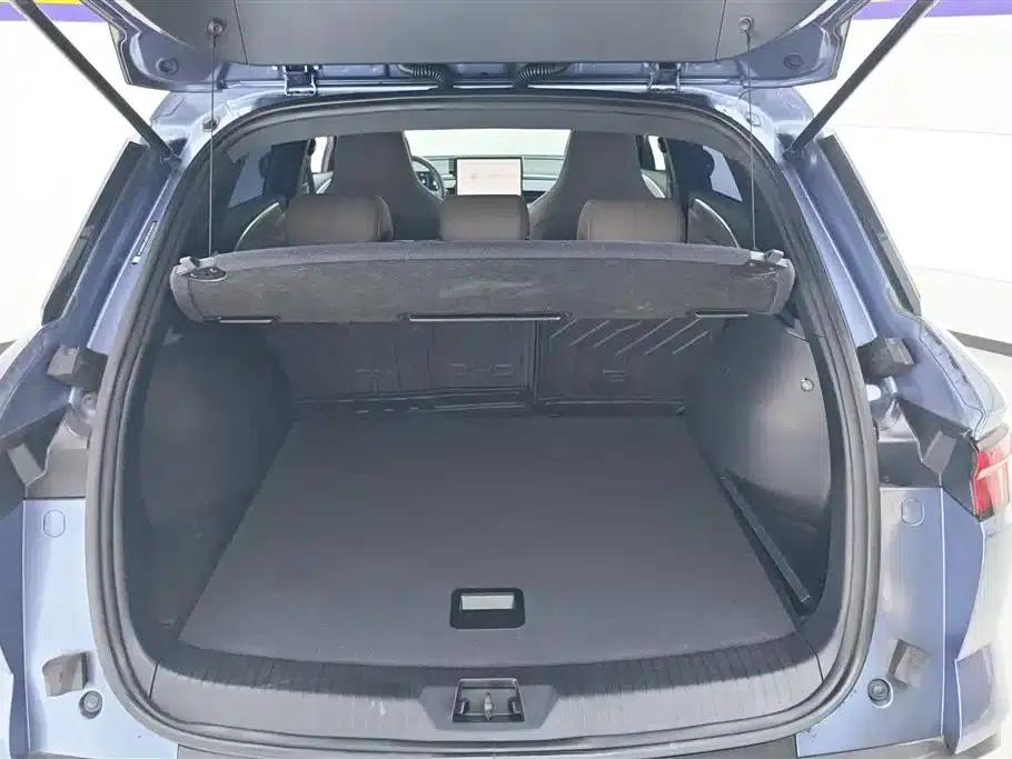 Song Pro New Energy 2023 Champion Edition DM-i 71KM Superior Model — миниатюра 4