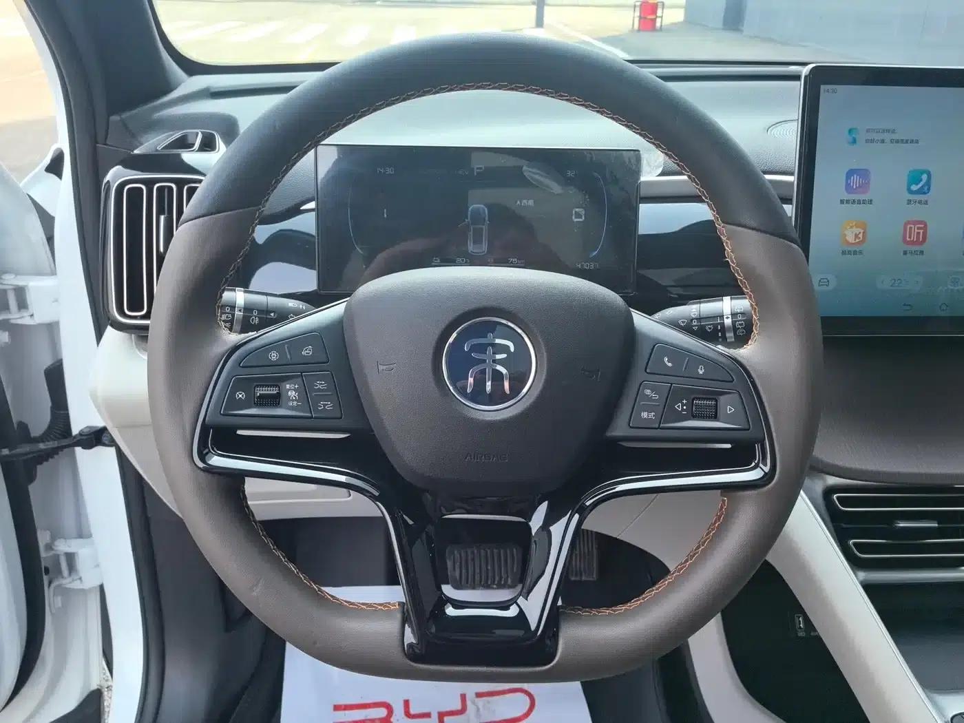 Song Pro New Energy 2022 DM-i 110km Flagship Edition — миниатюра 17