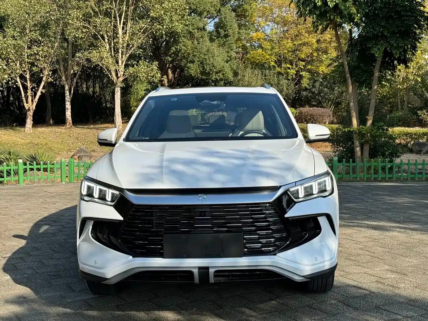 Song Pro New Energy 2023 Champion Edition DM-i 110KM Excellent Model — миниатюра 2