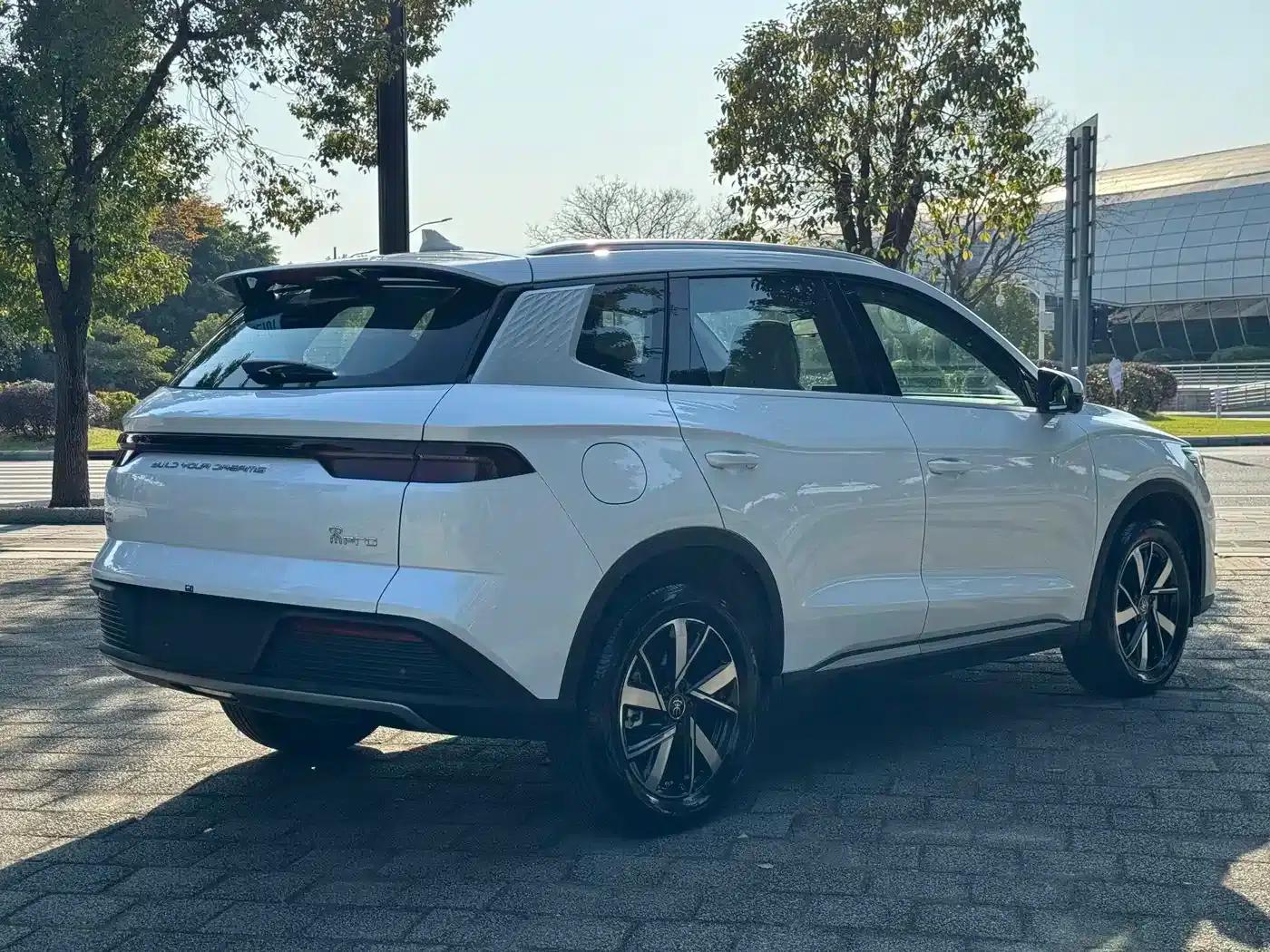 Song Pro New Energy 2023 Champion Edition DM-i 110KM Excellent Model — миниатюра 8
