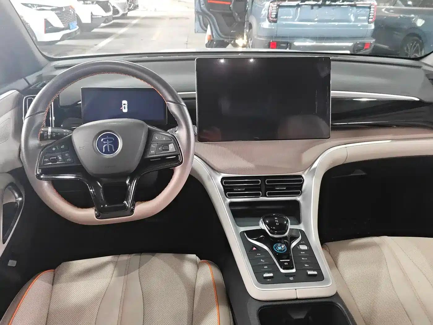 Song Pro New Energy 2023 Champion Edition DM-i 110KM Excellent Model — миниатюра 5