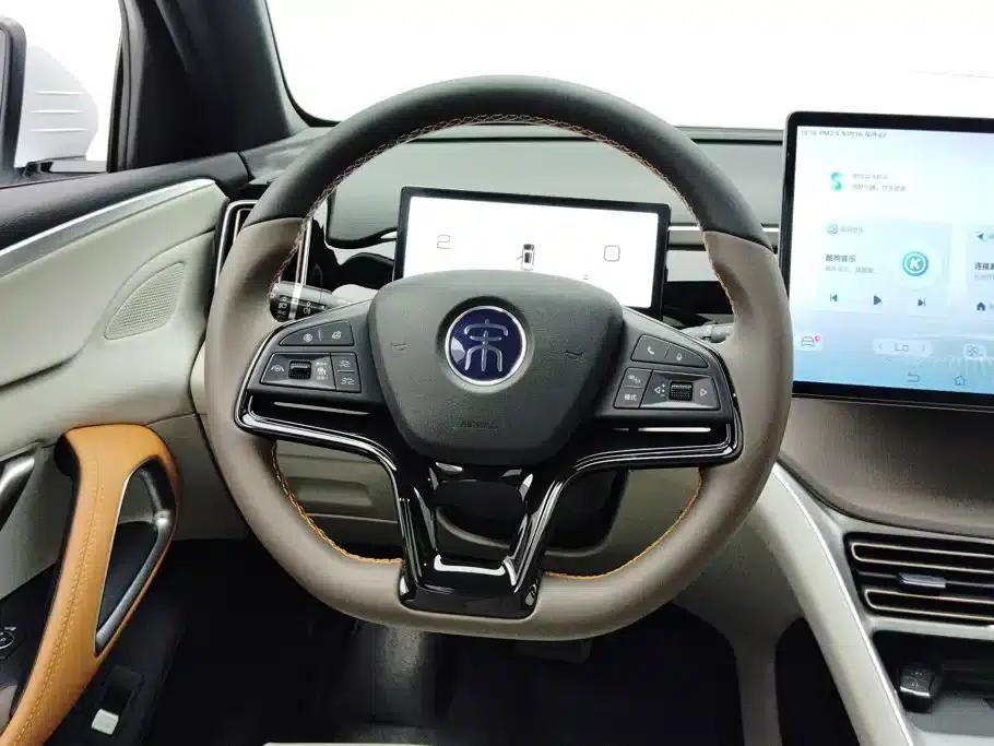 Song Pro New Energy 2023 Champion Edition DM-i 110KM Excellent Model — миниатюра 15