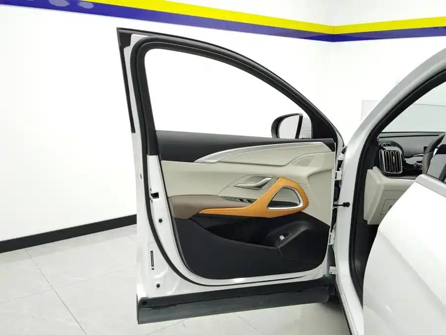 Song Pro New Energy 2023 Champion Edition DM-i 110KM Excellent Model — миниатюра 7