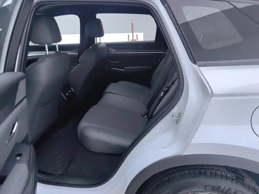 Song Pro New Energy 2026 DM-i 133KM Progressive Edition — миниатюра 11
