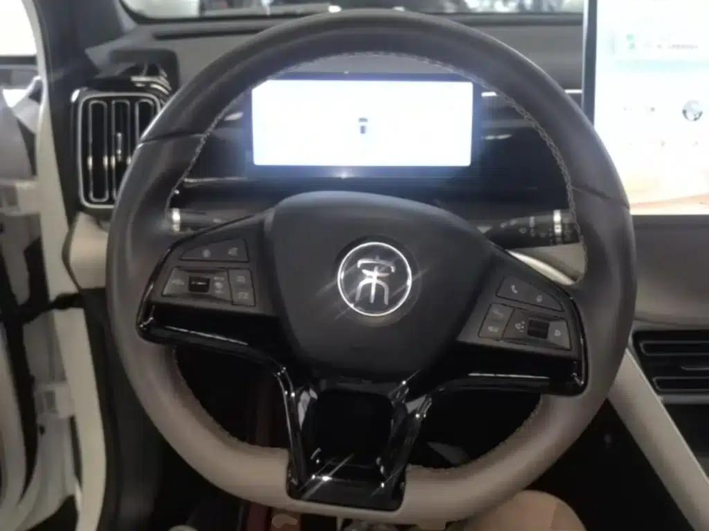 Song Pro New Energy 2024 Glory Edition DM-i 110KM Excellent Model — миниатюра 11