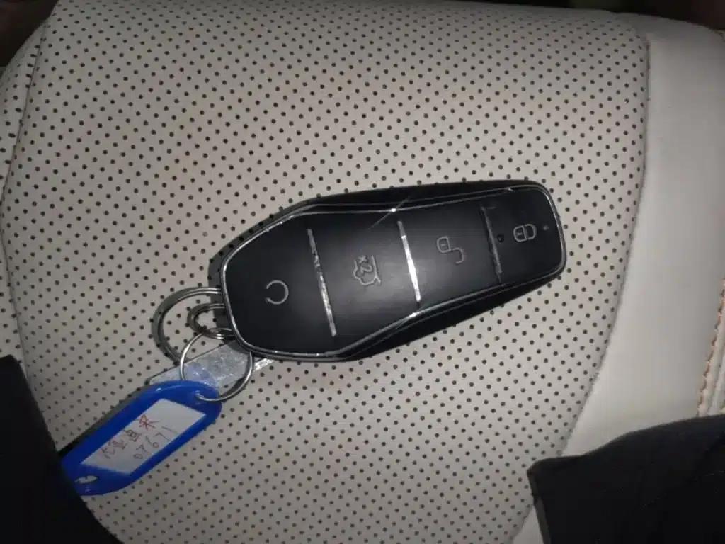 Song Pro New Energy 2024 Glory Edition DM-i 110KM Excellent Model — миниатюра 9