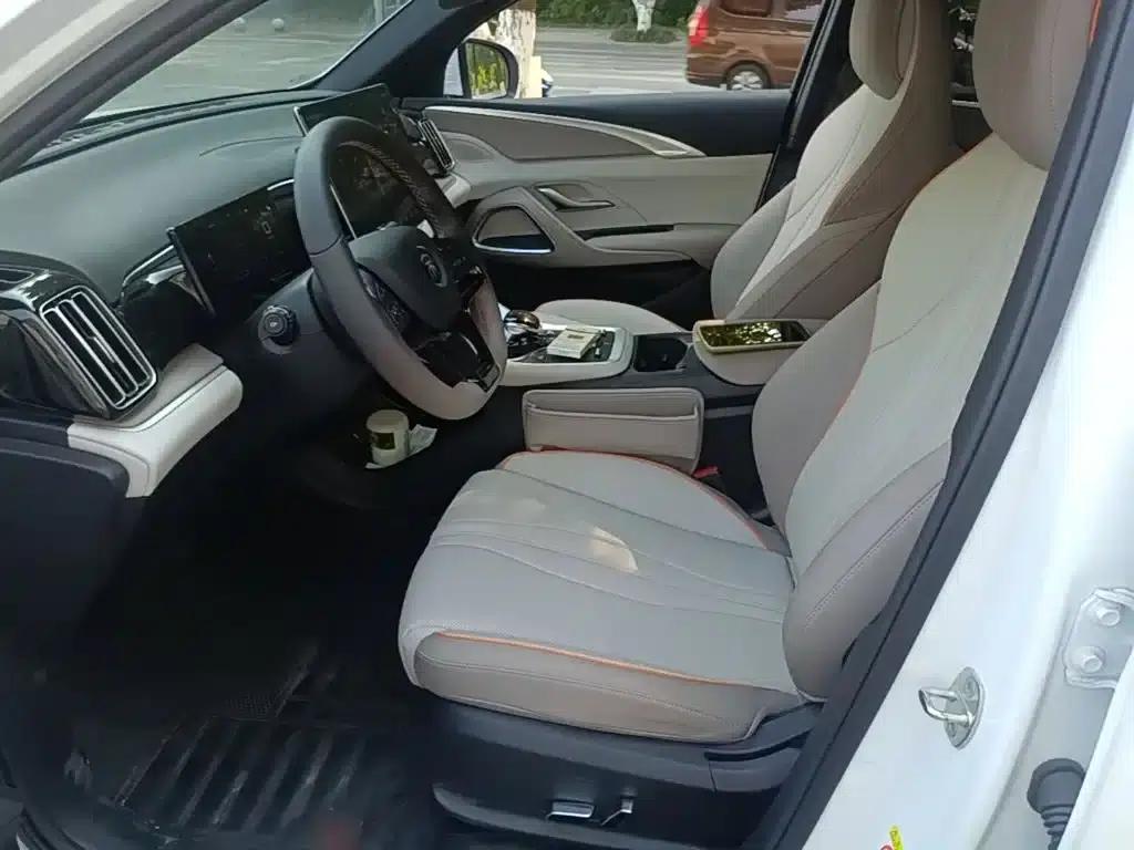 Song Pro New Energy 2023 Champion Edition DM-i 110KM Excellent Model — миниатюра 15