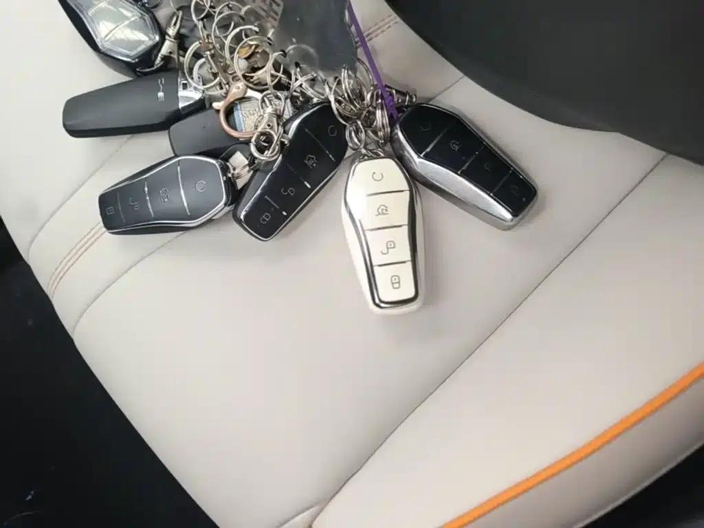 Song Pro New Energy 2024 Glory Edition DM-i 71KM Navigation Model — миниатюра 9