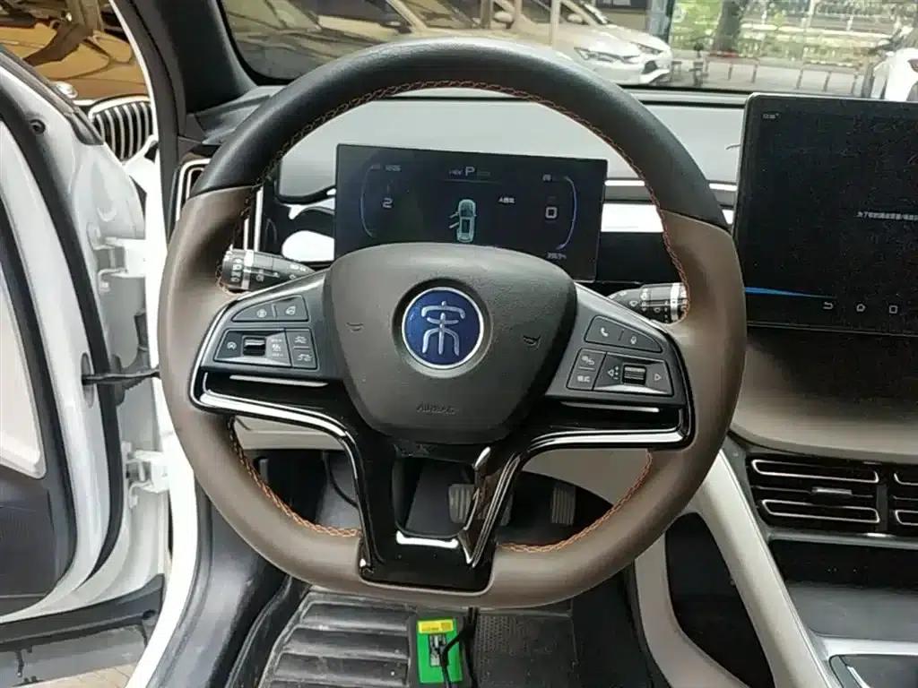 Song Pro New Energy 2022 DM-i 110km Flagship Edition — миниатюра 11