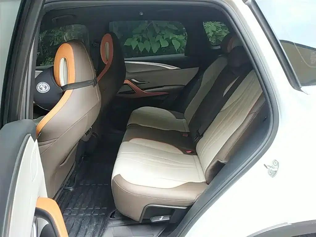 Song Pro New Energy 2022 DM-i 110km Flagship Edition — миниатюра 17