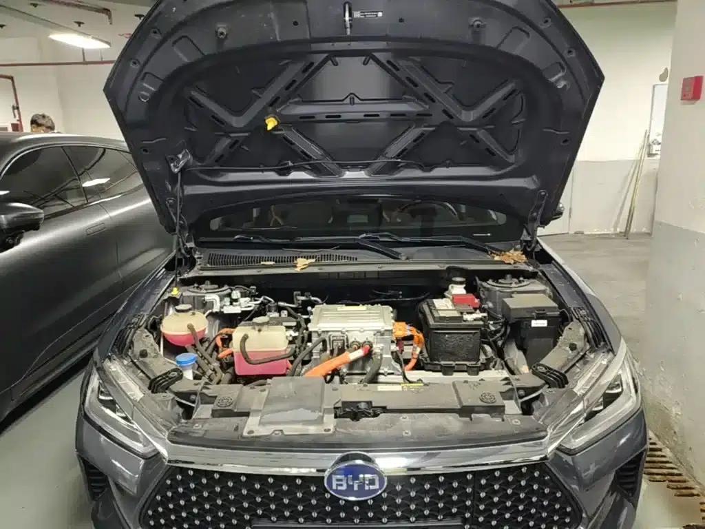 BYD e2 2020 Upgraded Long-Range Luxury Edition — миниатюра 20