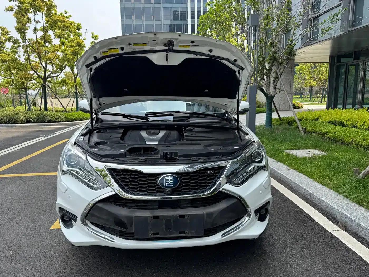 Tang New Energy 2017 2.0T All-Wheel Drive Luxury Edition — миниатюра 10
