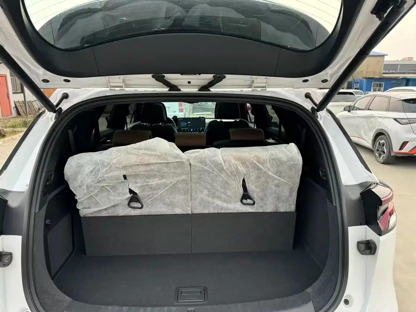 Tang New Energy 2021 DM-i 112KM Premium Edition — миниатюра 12