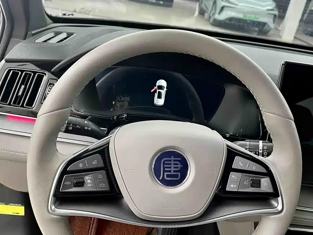 Tang New Energy 2025 DM-i 115KM Premium Edition — миниатюра 12