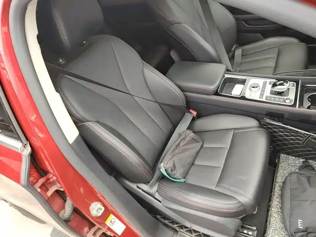 Tang New Energy 2018 DM 2.0T All-Wheel Drive Intelligent Connectivity Enjoyment Edition 7-Seater National V Emission Standard — миниатюра 20