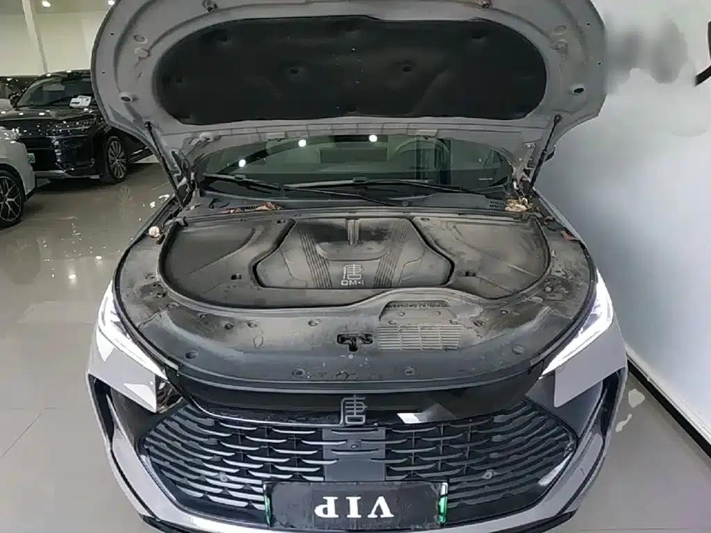 Tang New Energy 2025 DM-i 115KM Yunlian Flagship Edition — миниатюра 20