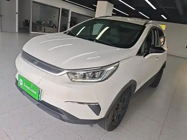 Yuan Pro 2021 Model: Love Forever Edition