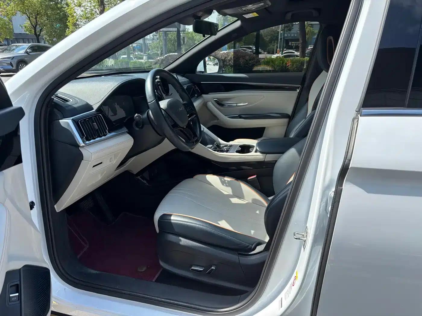 Song PLUS New Energy 2024 Glory Edition EV 520km Premium Model — миниатюра 8