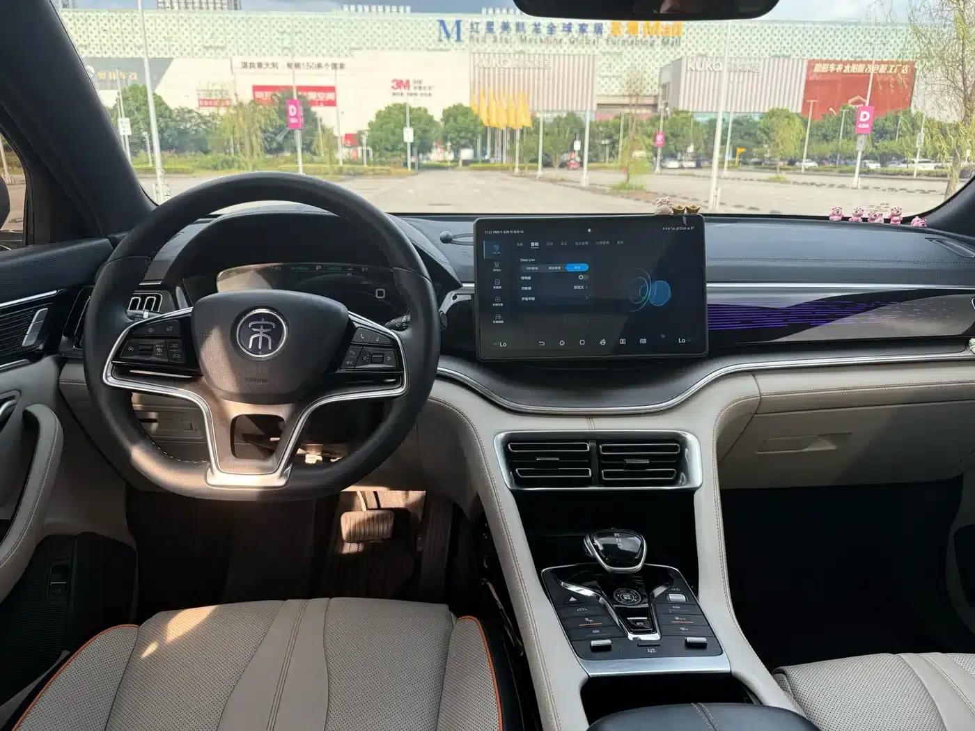 Song PLUS New Energy 2021 EV Flagship Edition — миниатюра 6