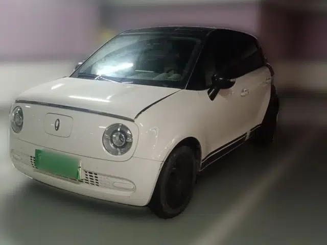 ORA Black Cat 2022 301km Base Version Ternary Lithium