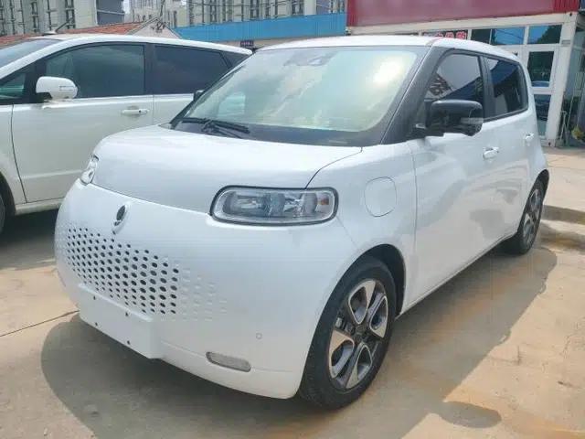 ORA White Cat 2020 401 km Long-Range Version