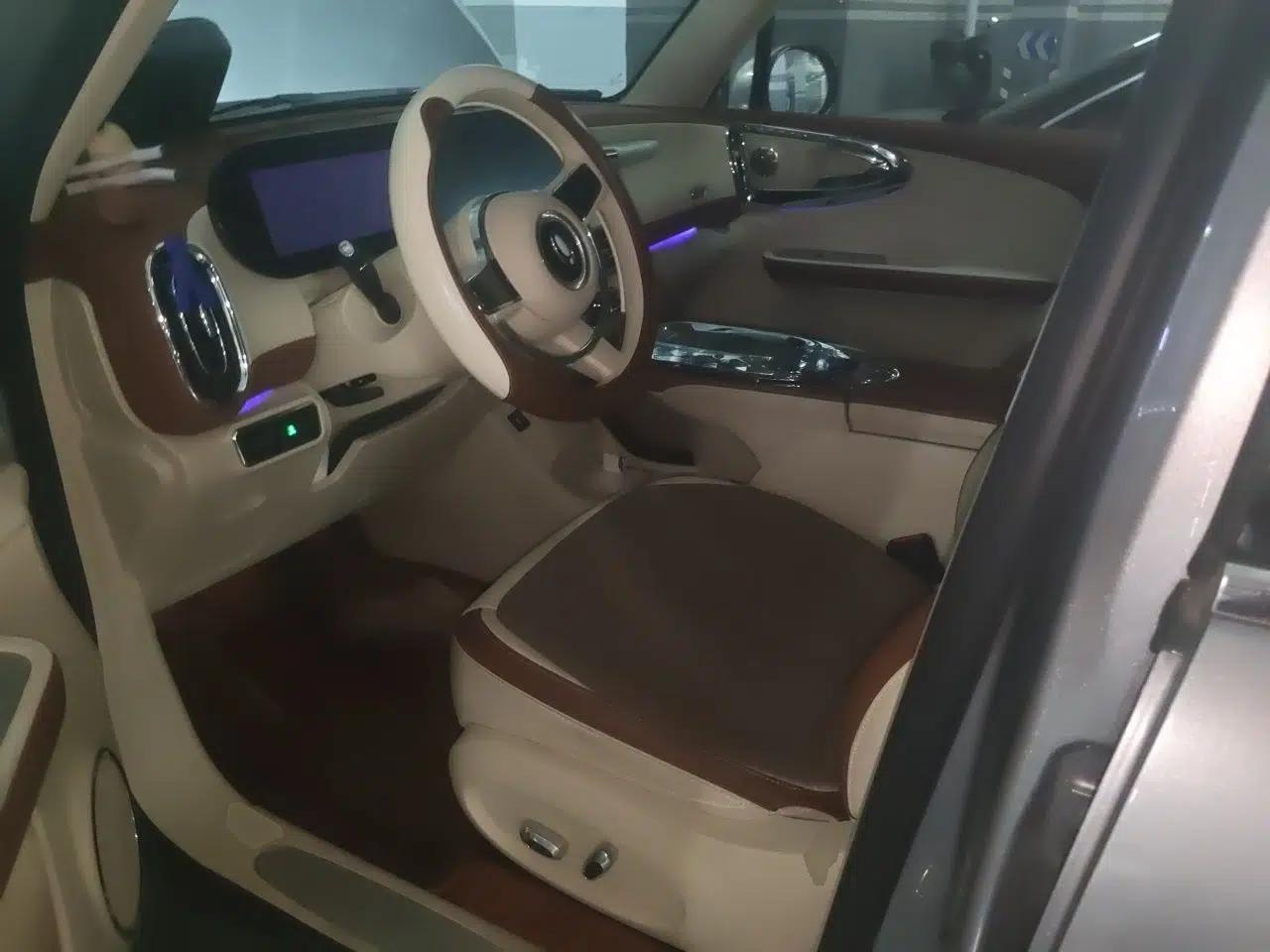 ORA Ballet Cat 2023 401 km Luxury Version — миниатюра 12