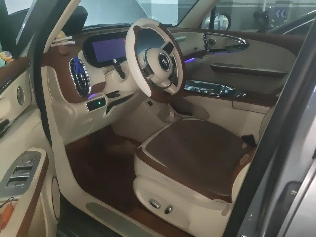 ORA Ballet Cat 2023 401 km Luxury Version — миниатюра 13