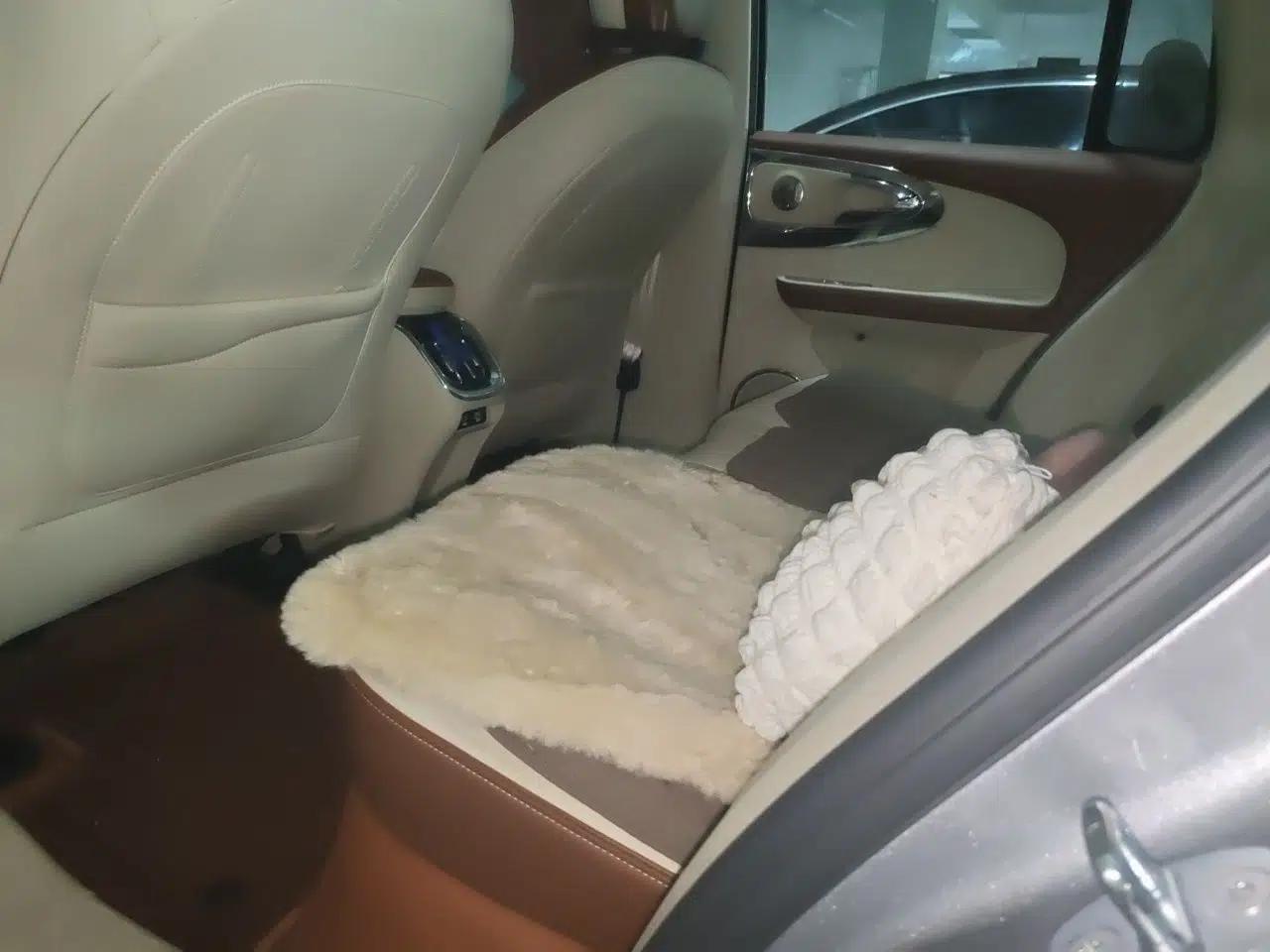 ORA Ballet Cat 2023 401 km Luxury Version — миниатюра 14