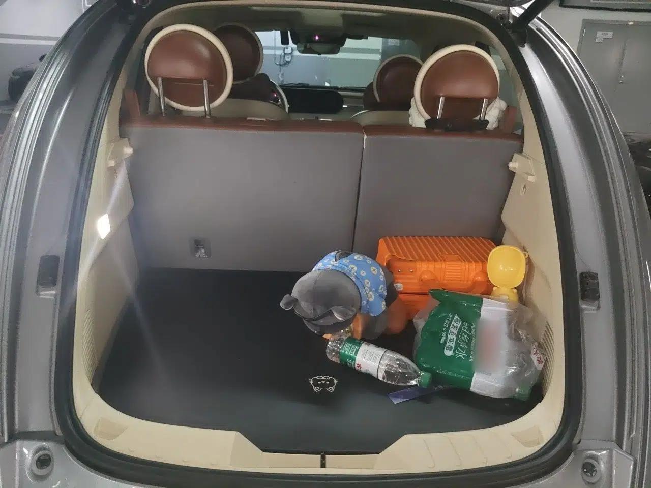 ORA Ballet Cat 2023 401 km Luxury Version — миниатюра 16